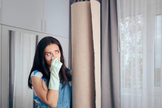 Best Air Quality Testing for Mold Spores  in Pomona, CA